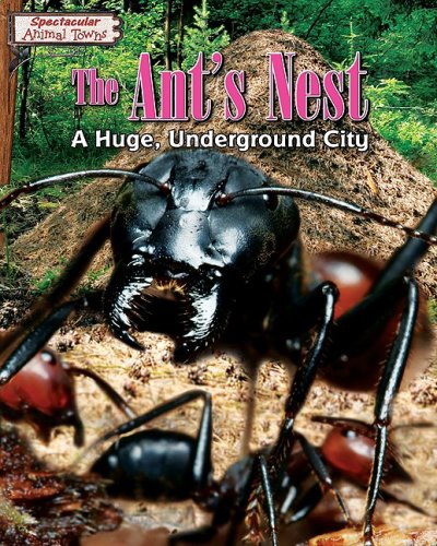 The ant's nest : a huge underground city