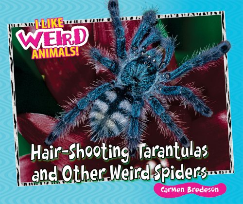 Hair-shooting tarantulas and other weird spiders