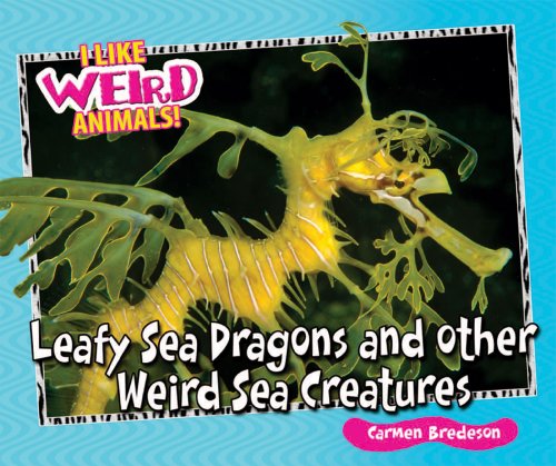 Leafy sea dragons and other weird sea creatures