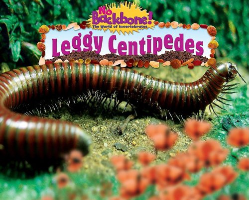 Leggy centipedes