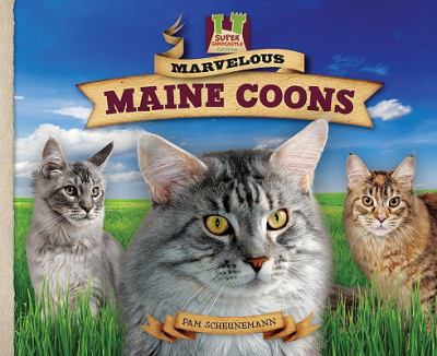 Marvelous Maine coons