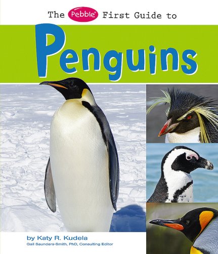 The Pebble first guide to penguins
