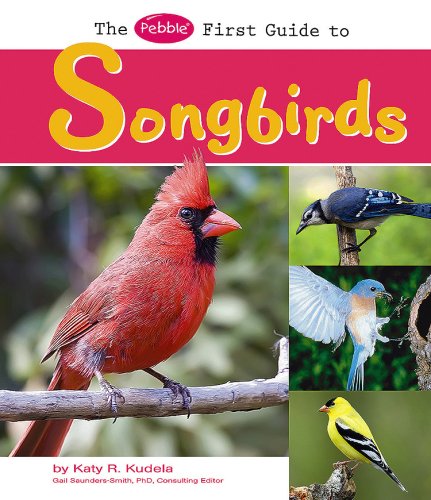 The Pebble first guide to songbirds