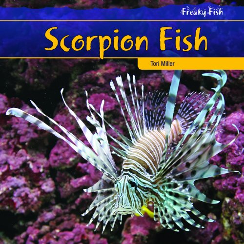 Scorpion fish