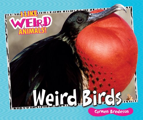 Weird birds