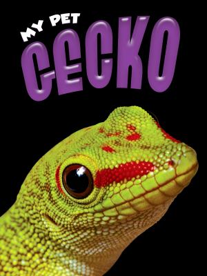 Gecko