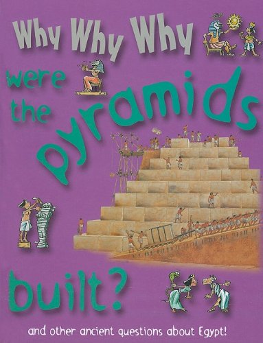 Why why why were the pyramids built?.