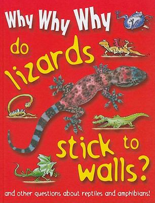 Why, why, why do lizards stick to walls?.