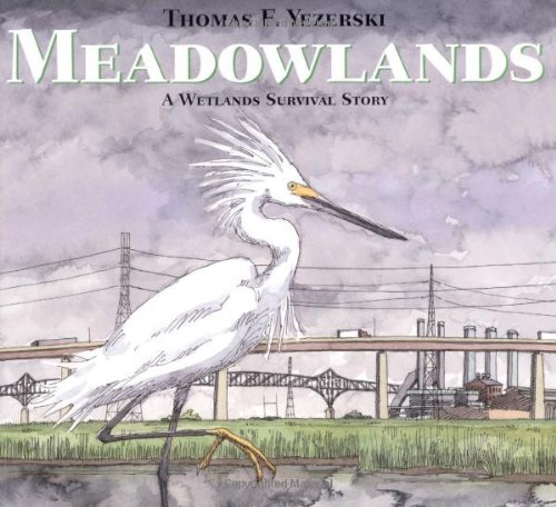 Meadowlands : a wetlands survival story