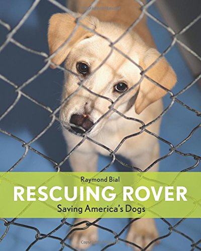 Rescuing Rover : saving America's dogs