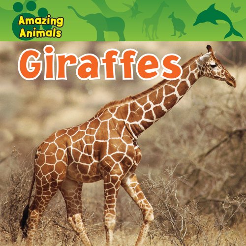 Giraffes