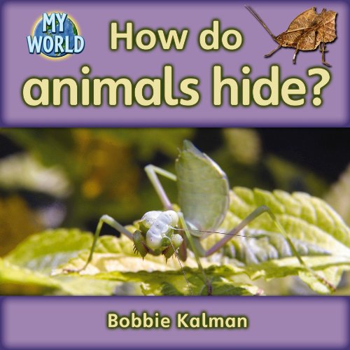 How do animals hide?