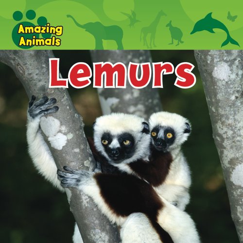 Lemurs