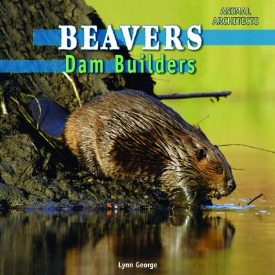 Beavers : dam builders