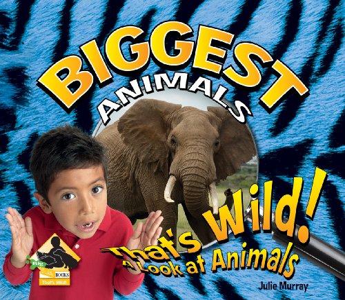 Biggest animals