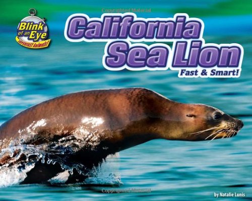 California sea lion : fast & smart!