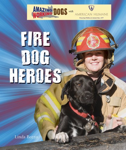 Fire dog heroes