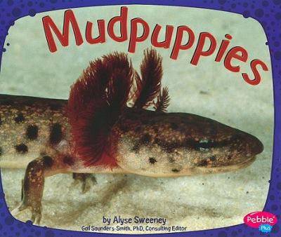 Mudpuppies