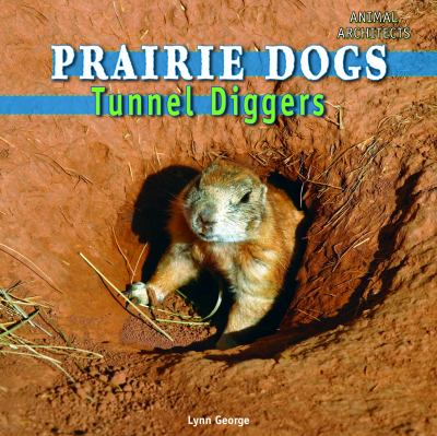 Prairie dogs : tunnel diggers