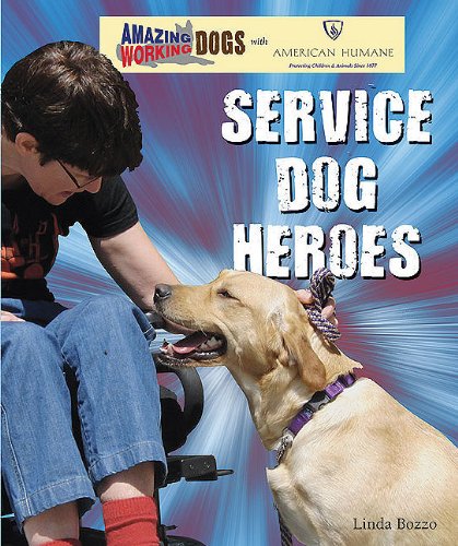 Service dog heroes