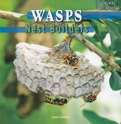Wasps : nest builders