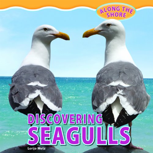 Discovering seagulls