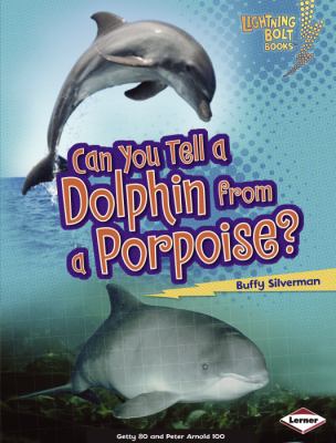 Can you tell a dolphin from a porpoise?