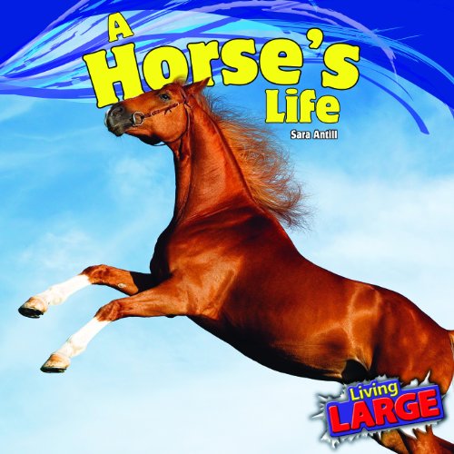 A horse's life