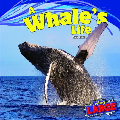 A whale's life