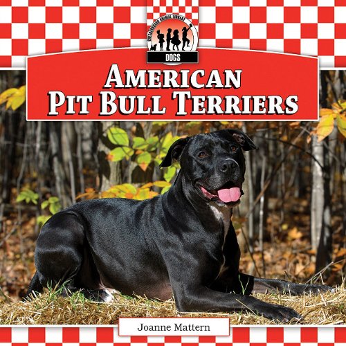 American pit bull terriers
