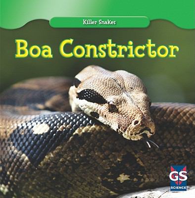 Boa constrictor