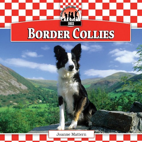 Border collies