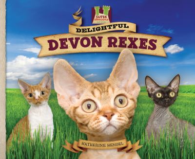 Delightful Devon rexes : silly! unique! active! playful! devoted! alert!