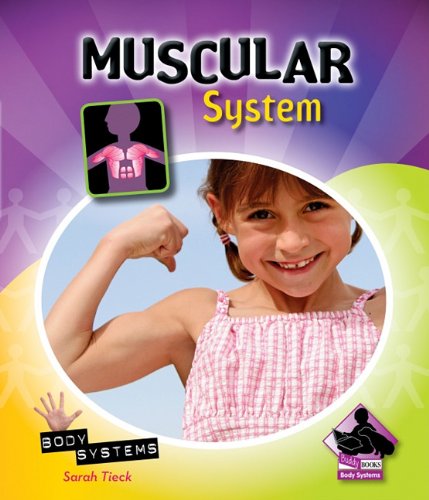 Muscular system : a buddy book