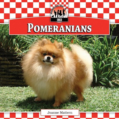 Pomeranians