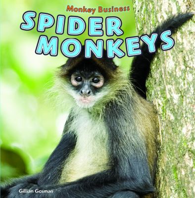 Spider monkeys