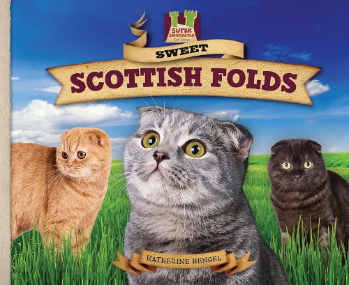 Sweet Scottish folds : unique! quiet! gentle! calm! lovable! rare!