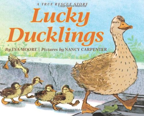 Lucky ducklings