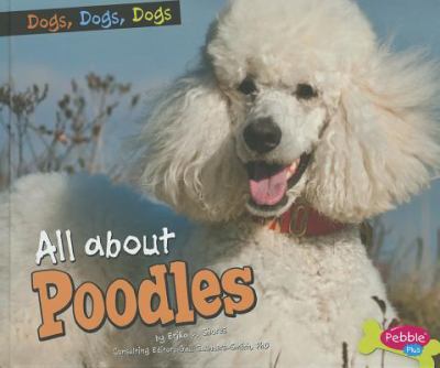 All about poodles