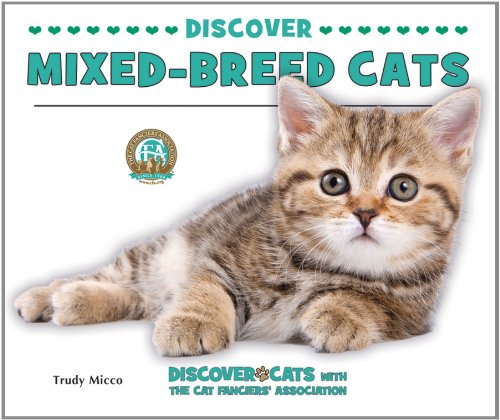 Discover mixed-breed cats