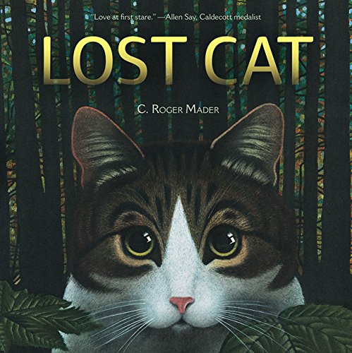 Lost cat