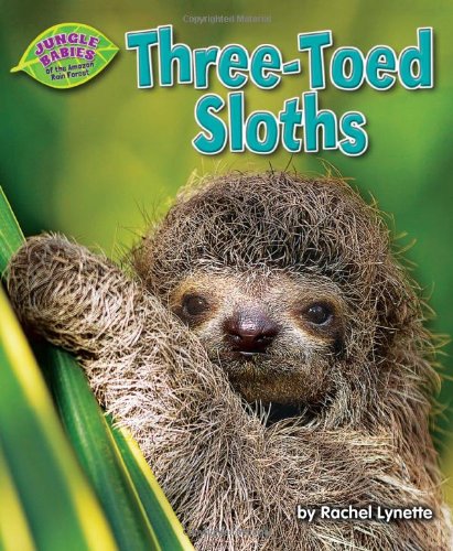 Three-toed sloths