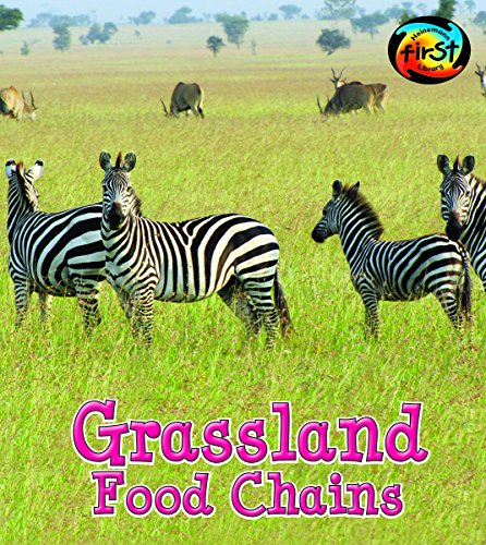 Grassland food chains