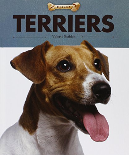 Terriers