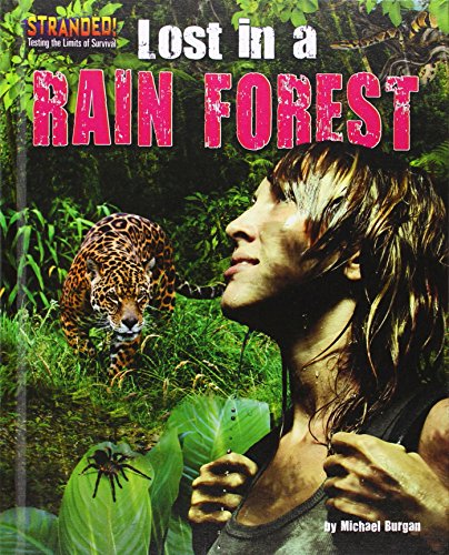 Lost in a rain forest