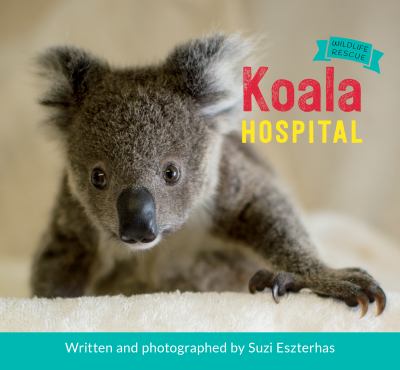Koala Hospital /