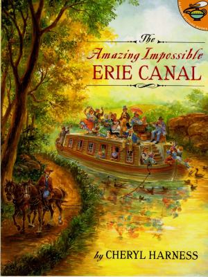 The amazing impossible Erie Canal