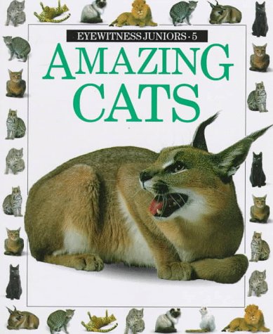 Amazing cats