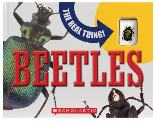 Beetles : the real thing