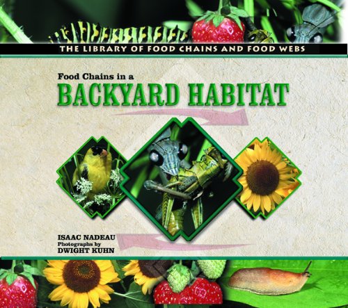 Food chains in a backyard habitat